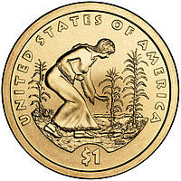 США 1 доллар 2009, Сакагавея Индианка №1615