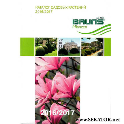 Каталог розсадника Bruns / Брунс 2016 / 2017, фото 1
