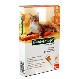 Засоби від бліх та кліщів для кішок