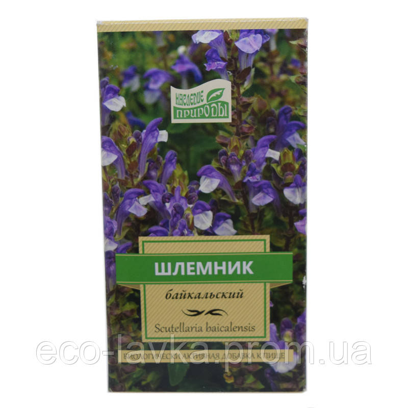 Шоломниця байкальський 30г.