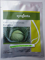 Насіння капусти Кататор F1 (Syngenta), 2 500 насінин — середньостигла (80-85 днів), білокачанна, кругла