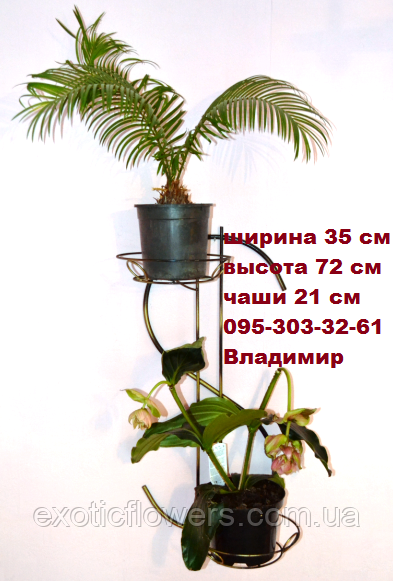 Долар-1, підставка для квітів на 2 чаші
