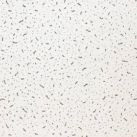 Плити підвісної стелі