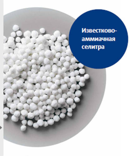 Известково-аммиачная селитра 50кг, Киев Святошино, цена 1850 грн — Prom ...