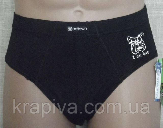 Труси чоловічі плавки бамбук M,L,XL,XXL, труси плавками ПОЛЬЩА, фото 1