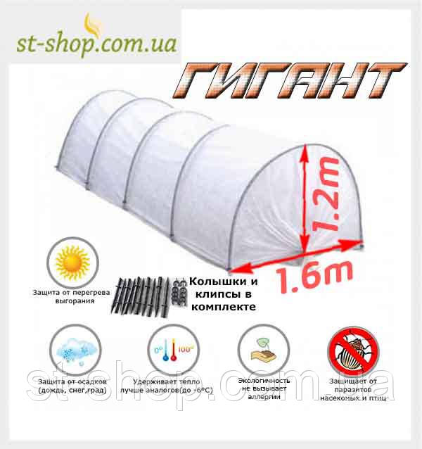 ПАРІК МІНІ ТЕПЛИЦЯ ГІГАНТ 6м (щільністю 60 г/м2)