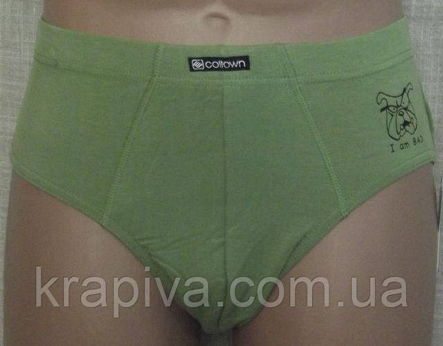 Труси чоловічі плавки бамбук M,L,XL,XXL, труси плавками ПОЛЬЩА, фото 1