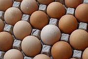 Чи потрібно, мити яйця перед інкубацією?