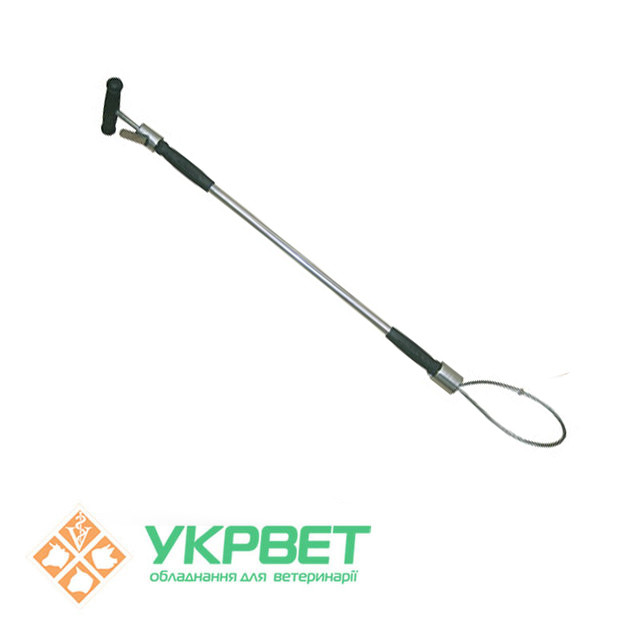 Петля для фіксації свиней з блокуючою системою