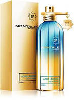 Montale Aoud Lagoon парфюмированная вода 50мл