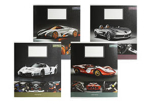 Зошит шкільний Школярик 18 аркушів лінія мікс (25)