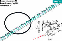 Сальник / уплотнительное кольцо / прокладка топливного насоса високого давления ТНВД 562.807 Mercedes /