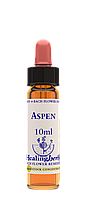 Цветы Баха.ASPEN - Осина (№ 2) Healing Herbs