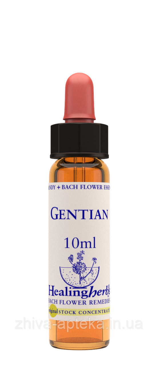 Квіти Баха. GENTIAN - Тирлич (№ 12) Healing Herbs, фото 1
