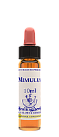 Цветы Баха. MIMULUS - Мимоза (Губастик) (№ 20) Healing Herbs