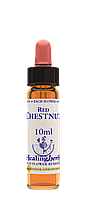 Цветы Баха. RED CHESTNUT - Красный каштан (№ 25) Healing Herbs