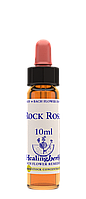Цветы Баха. ROCK ROSE - Солнцесвет (№ 26) Healing Herbs