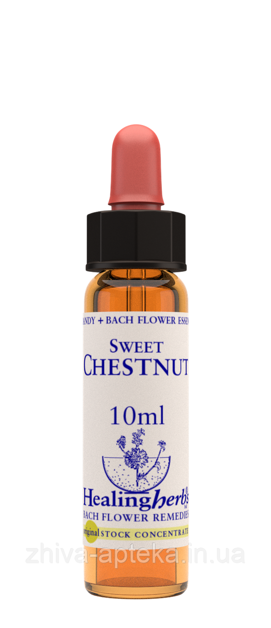 Квіти Баха. SWEET CHESTNUT - Каштан благородний (№ 30) Healing Herbs