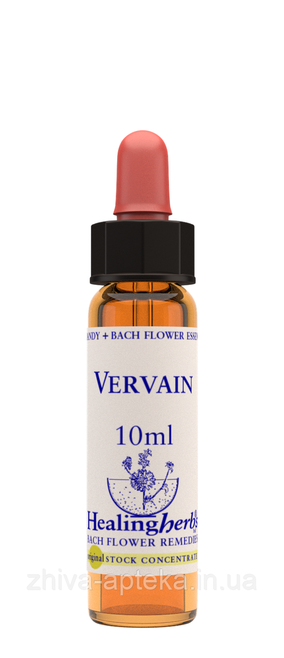 Квіти Баха. VERVAIN - Вербена (№ 31) Healing Herbs