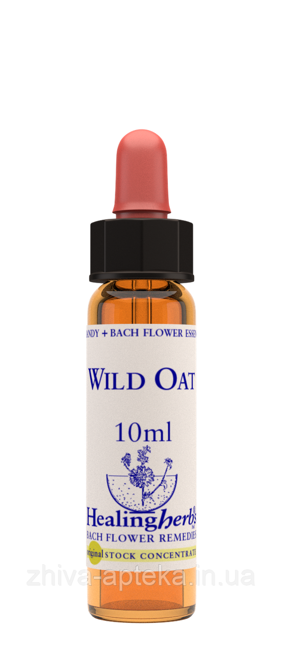 Квіти Баха. WILD OAT - Вівсюг (№ 36) Healing Herbs