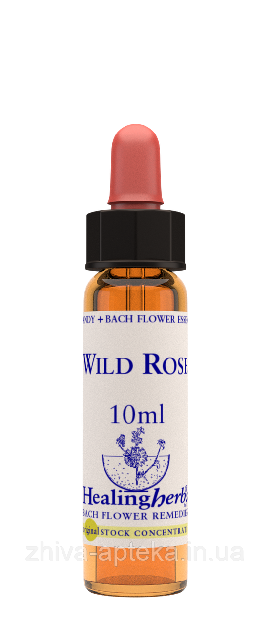Квіти Баха. WILD ROSE - Шипшина (№ 37) Healing Herbs