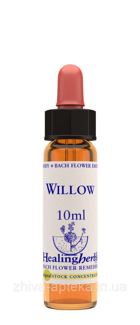 Квіти Баха. WILLOW - Верба (№ 38) Healing Herbs