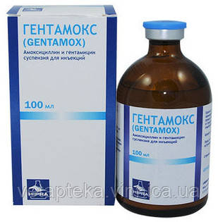 Гентамокс, 100мл, фото 1
