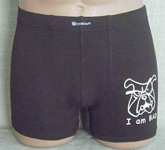 Боксерки чоловічі шорти стрейч бамбук M, L, XL, XXL ПОЛЬЩА