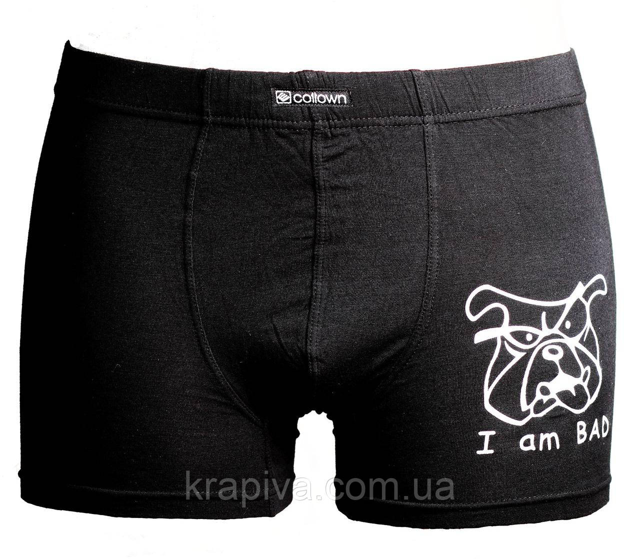 Боксерки чоловічі шорти стрейч бамбук M, L, XL, XXL ПОЛЬЩА, фото 1