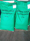 Трава Газон універсальний 10кг ТМ Green Field RasenSamen, фото 2