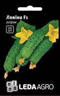 Насіння огірка Левіна F1, 20 шт., жіночого типу цвітіння, ТМ "ЛедаАгро"