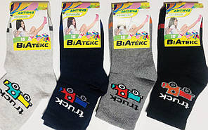 Шкарпетки дитячі 12 пар демісезонні хлопчик ВиАтекс розмір 16(26-28) асорті