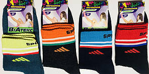 Шкарпетки дитячі 12 пар демісезонні хлопчик ВиАтекс розмір 21(34-36) асорті