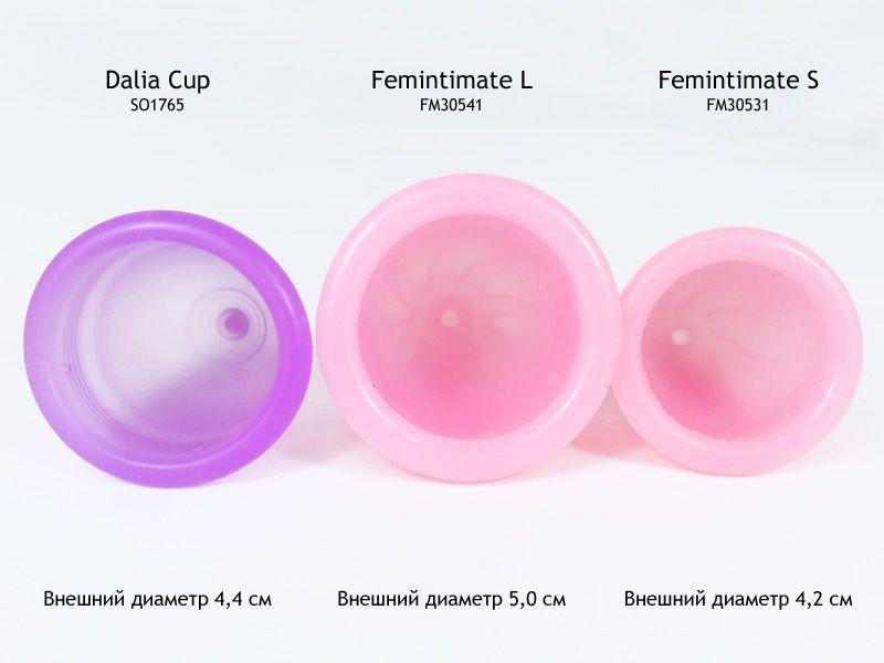 Менструальная чаша Femintimate Eve Cup с переносным душем - фото 3 - id-p405206345