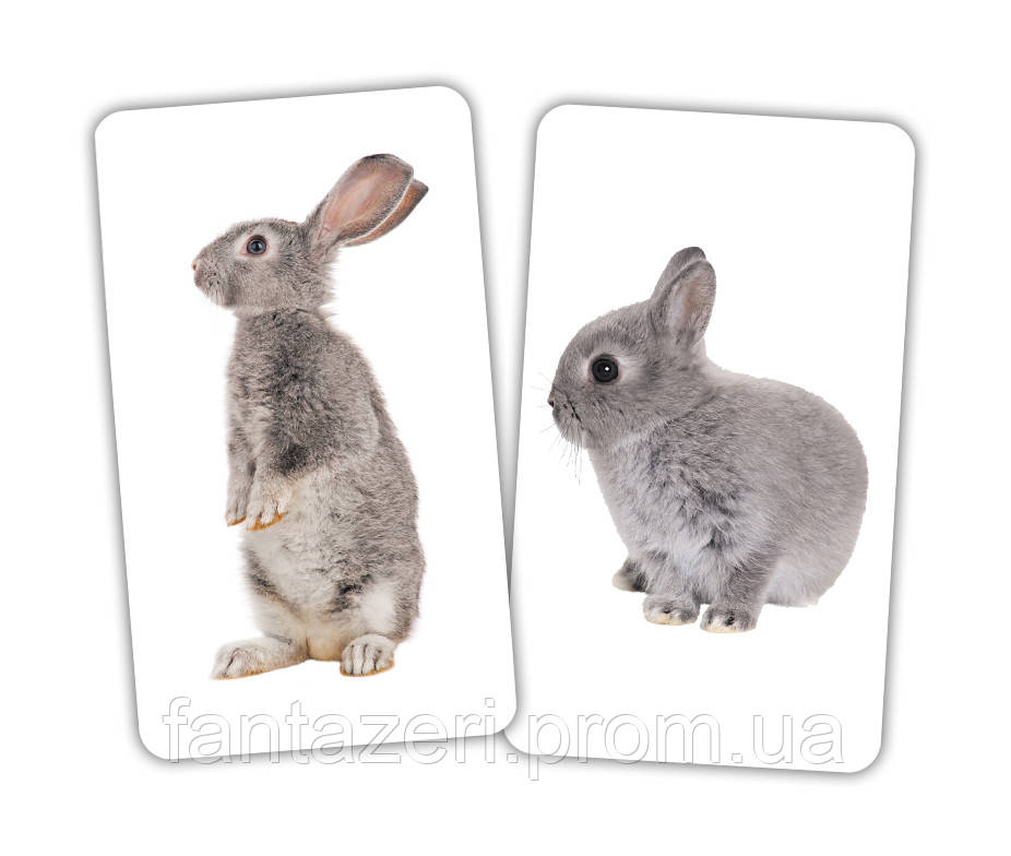 Карточки Домана Игра Животные и детёныши от 1 года Вундеркинд с пелёнок 2100065276414