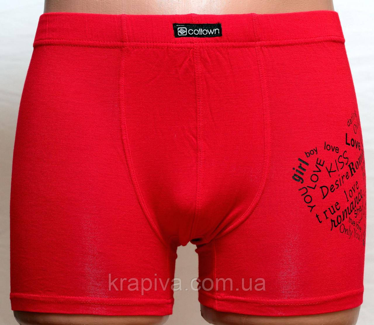 Боксерки чоловічі шорти стрейч бамбук M, L, XL, XXL ПОЛЬЩА