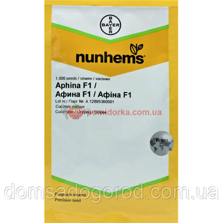 Огірок АФІНА F1 Nunhems 1000 шт.