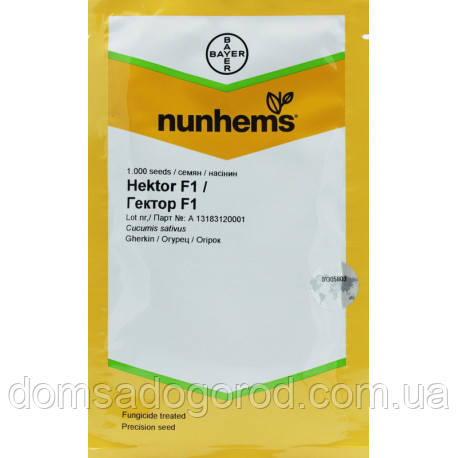 Огірок ГЕКТОР F1 Nunhems 1000  шт