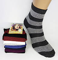 Шкарпетки жіночі "ДУКАТ" Смужка. 600. №185.