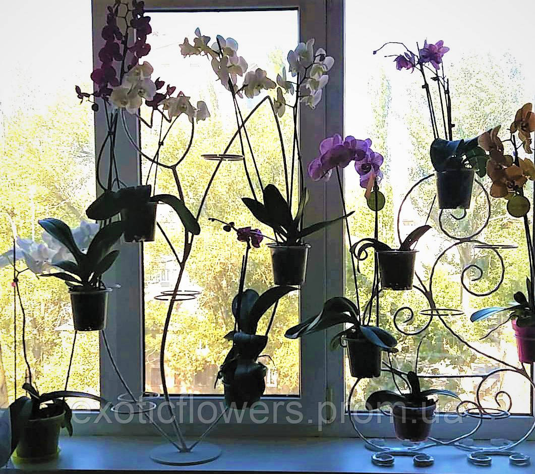 Підставка для квітів на 14 кілець для орхідей "Тюльпан", фото 1