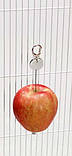 Тримач для фруктів для птахів TRIXIE з неіржавкої сталі 20 см, фото 4