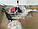 Гідророзподільник 2Р40 з тросовим керуванням і джойстиком (комплект), фото 5