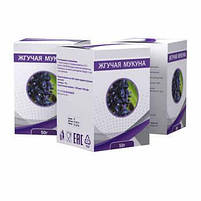 Мукуна пекуча - порошок для потенції, фото 2