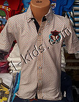 Стильная рубашка(шведка) для мальчика 6-14 лет(опт) пр. Турция