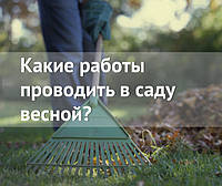 Які роботи проводити в саду навесні