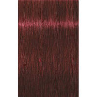 Тонуючий мус для волосся Schwarzkopf Professional Igora Expert Mousse,100 ml 5-88 Світло-коричневий червоний екстра