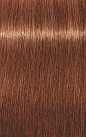Фарба для сивого і зрілих волосся Schwarzkopf Professional IGORA ROYAL Absolutes, 60 ml 7-560 Середньо-русявий золотисто-шоколадний