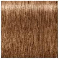 Фарба для сивого і зрілих волосся Schwarzkopf Professional IGORA ROYAL Absolutes, 60 ml 8-07 Світло-русявий натуральний мідний