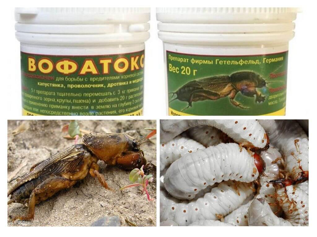 Вофатокс банка 20 г, фото 1