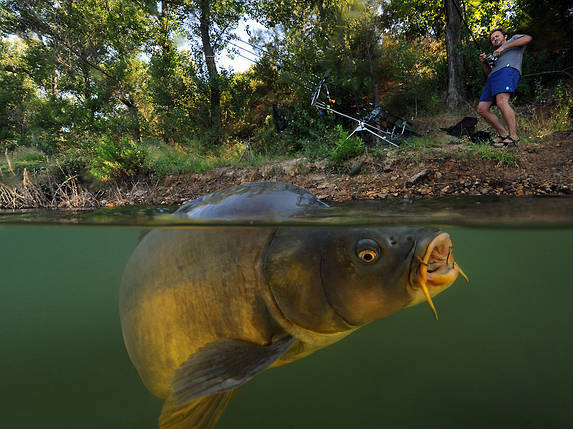 Рыболовная леска Carp Expert, 1000 метров, 0.40 mm, радуга, товары для рыбалки., фото 2